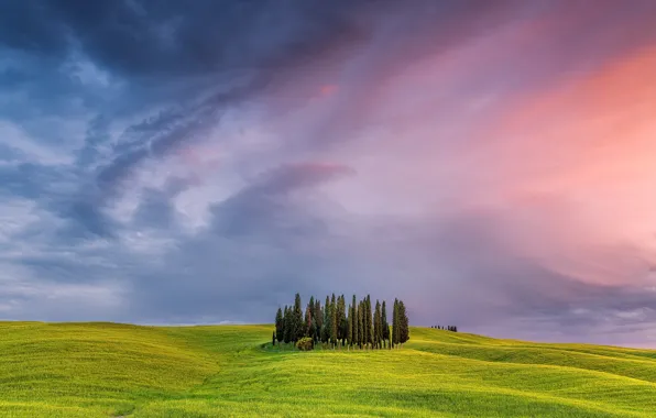 Небо, дерево, поля, Италия, Тоскана
