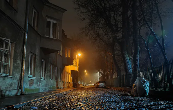 Деревья, машины, ночь, город, здания, дома, фонари