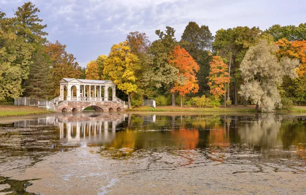 Осень, пруд, парк, Россия, роща, Russia, Autumn, Pond