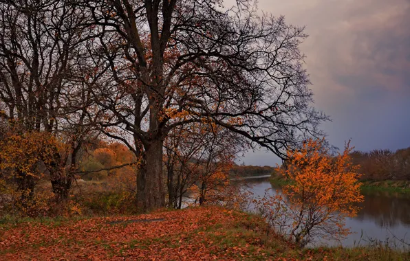 Облака, природа, река, осеннее небо