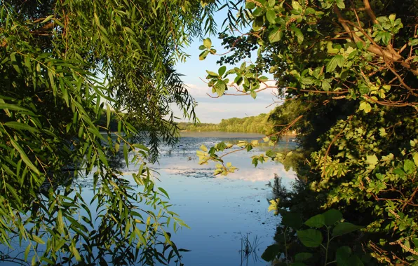 Картинка вода, деревья, пейзаж, озеро, река