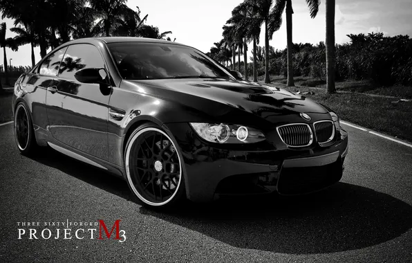 Картинка пальмы, белая, black, черно, BMW M3