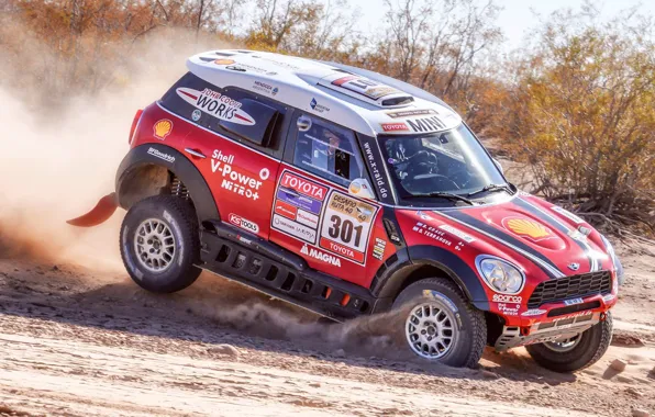 Песок, Красный, Mini, Пыль, Спорт, Скорость, Гонка, Rally