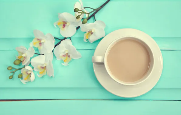 Картинка фон, ветка, white, wood, орхидея, flowers, orchid, coffee cup
