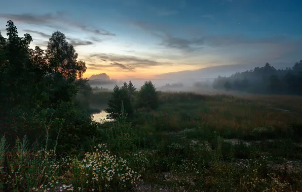 Картинка деревья, пейзаж, природа, туман, вечер, луг, травы, Сергей Сергеев