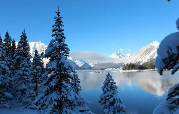 Картинка зима, небо, снег, деревья, горы, озеро