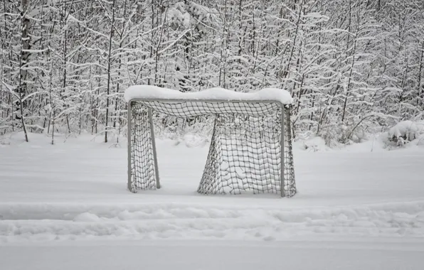 Картинка зима, снег, ворота