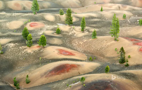 Картинка деревья, холмы, дюны, Калифорния, США, Lassen Volcanic National Park