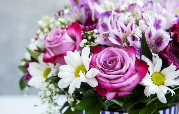 Картинка цветы, розы, ромашки, букет