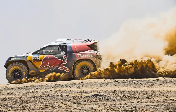2008, Пыль, Спорт, Скорость, Гонка, Peugeot, Жара, Red Bull