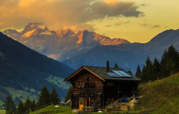 Картинка трава, деревья, горы, Швейцария, склон, Альпы, домик