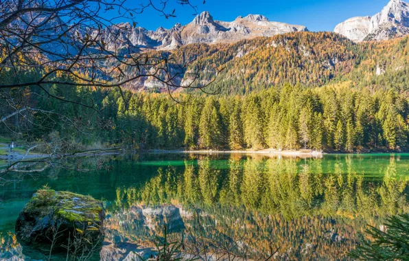 Лес, горы, озеро, Италия, Trentino Alto Adige, Lago di Tovel