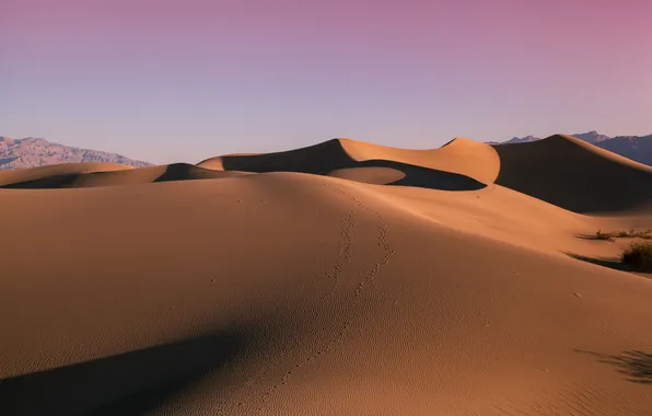 Картинка песок, пейзаж, пустыня, дюны