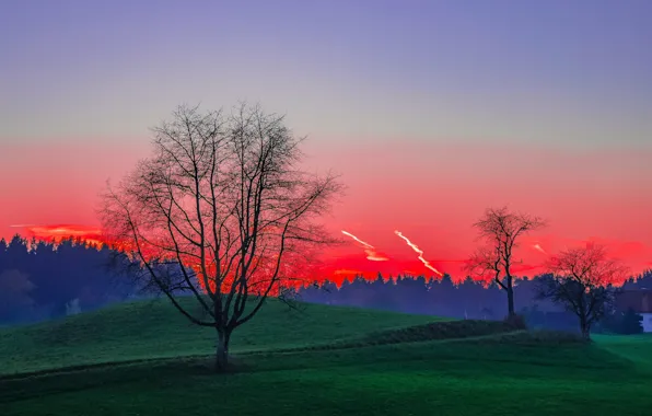 Картинка деревья, холмы, зарево