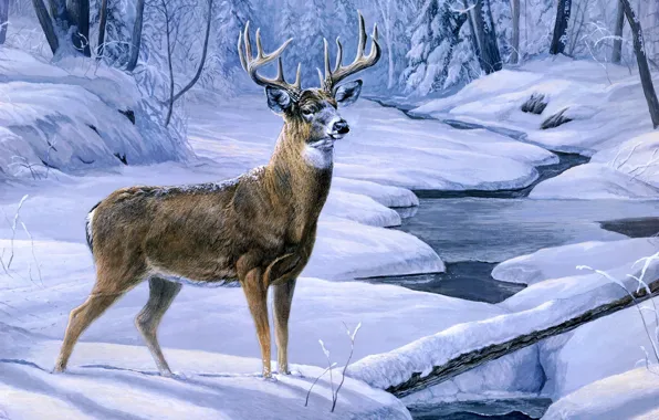 Картинка зима, лес, снег, ручей, олень, forest, живопись, winter