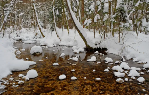 Картинка зима, лес, снег, деревья, пруд, мороз, forest, Nature