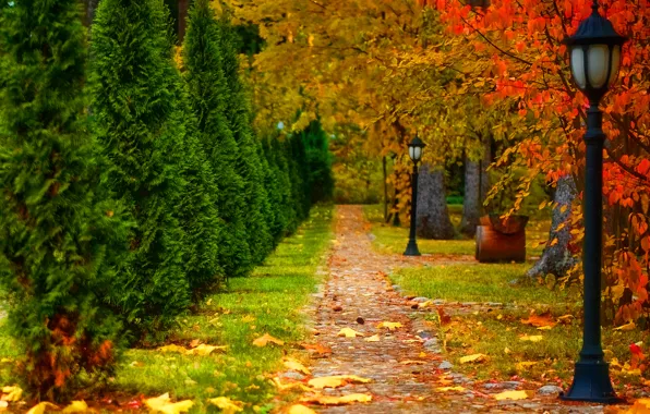 Дорога, осень, листья, деревья, пейзаж, природа, фонарь