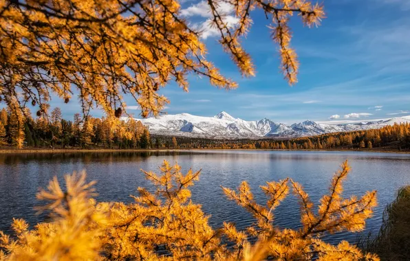 Осень, пейзаж, горы, ветки, природа, озеро, берег, леса