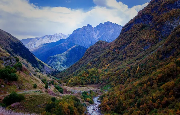 Горы, склоны, Северная Осетия, Дзинага, лес