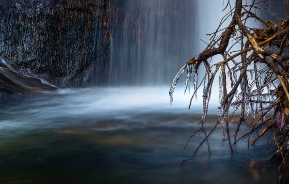 Картинка лед, вода, ветки, природа, дерево, водопад