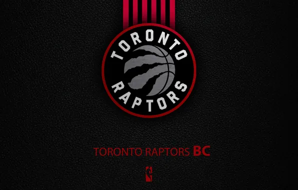 Wallpaper, sport, logo, basketball, NBA, Toronto Raptors