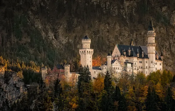 Картинка осень, лес, скалы, Германия, Замок Нойшванштайн, юго-западная Бавария, Ноябрь