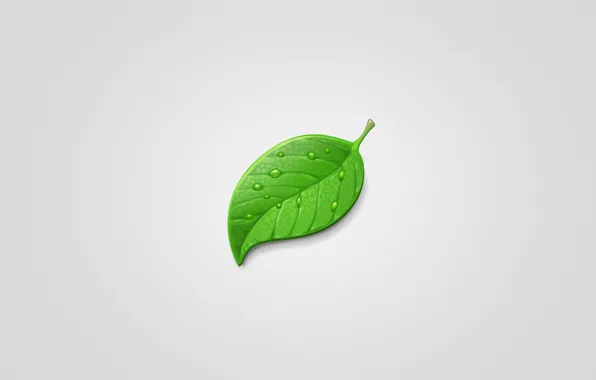 Картинка капли, лист, зеленый, green, минимализм, светлый фон, leaf