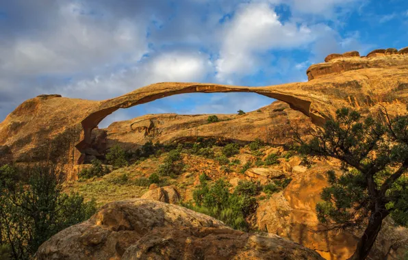 Камни, скалы, арка, Юта, США, Arches National Park, Арчес