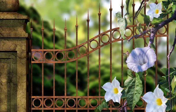 Flowers, garden, scene, bunch of wild flower
