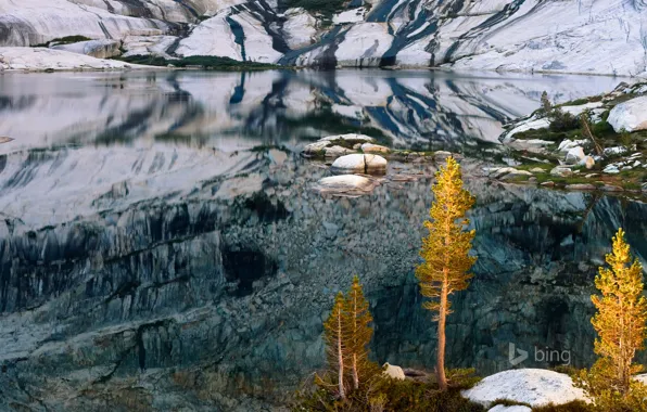Осень, деревья, горы, озеро, Калифорния, США, Pear Lake, Национальный парк Секвойя