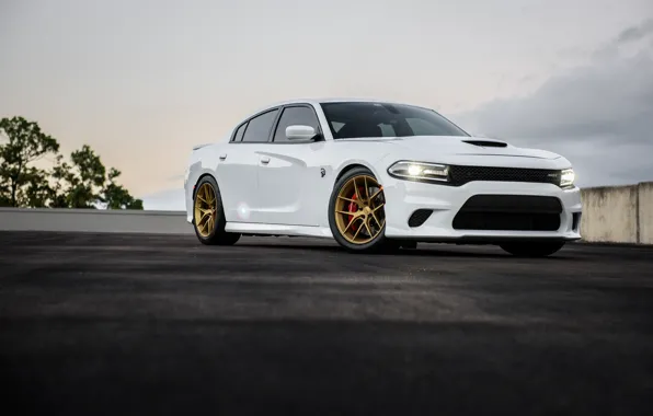 Картинка Dodge, One, Charger, Forged, Hellcat, Piece, Forgeline, Monoblock