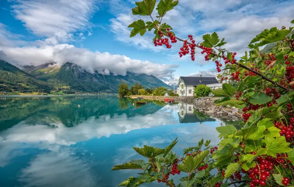 Горы, озеро, дом, отражение, ягоды, лодки, Норвегия, красная смородина
