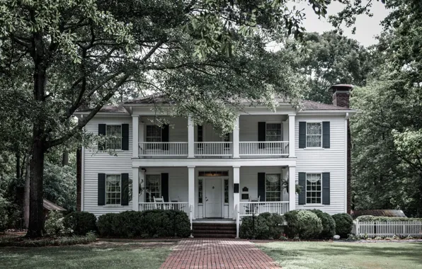 USA, house, grass, tree, Georgia, Oaks, Jonesboro, Stately