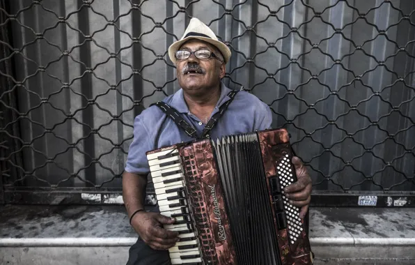 Улица, музыкант, accordion