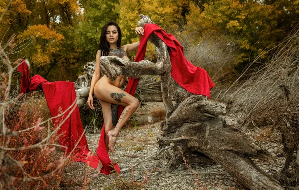 Лес, деревья, секси, тату, sexy, forest, trees, tattoo