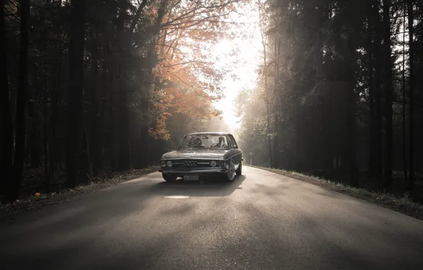 Авто, Дорога, Деревья, Машина, AUDI, 100, 100 C1, AUDI 100