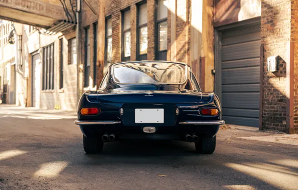 Lamborghini, 1965, rear, 350 GT, Lamborghini 350 GT