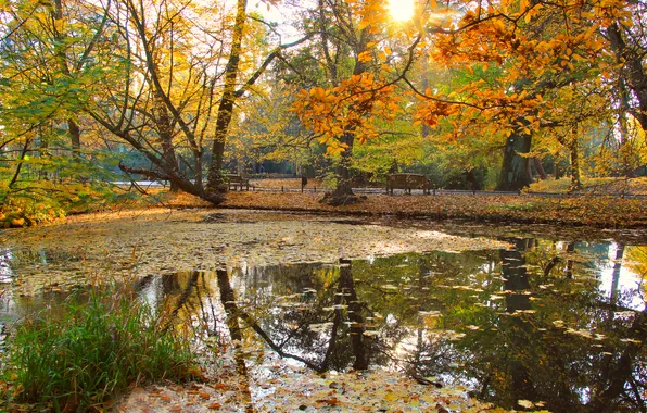 Water, park, autumn, pond, fall