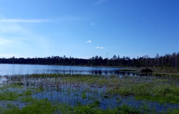 Небо, Вода, Дерево, Трава, Весна, Май, Пейзаж, Озера