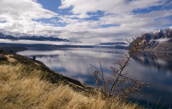 Картинка трава, вода, горы, природа, фото, пейзажи, вид, новая зеландия