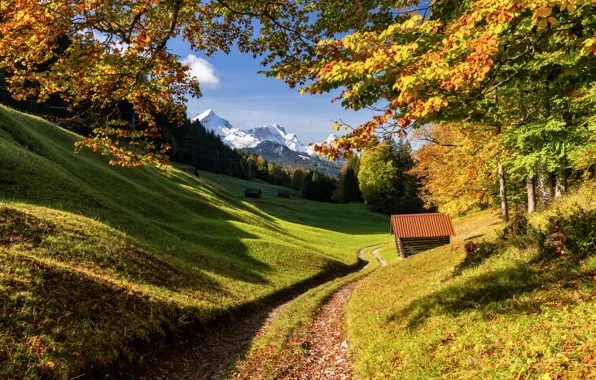 Картинка дорога, осень, лес, деревья, горы, Германия, Бавария, Germany