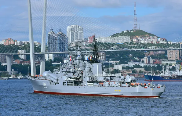 Быстрый, эскадренный, миноносец