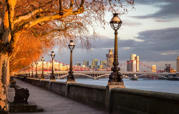 Картинка осень, деревья, мост, река, Англия, Лондон, фонари, набережная