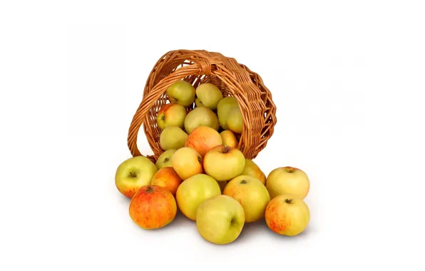 Картинка яблоки, урожай, корзинка
