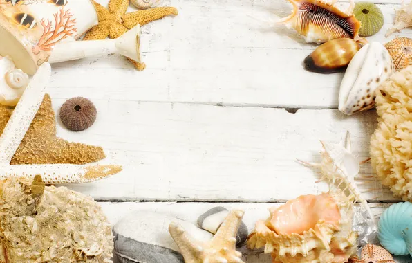 Ракушки, wood, stars, marine, морские звезды, seashells