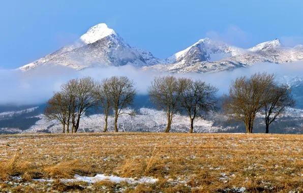 Зима, горы, Словакия, Татры