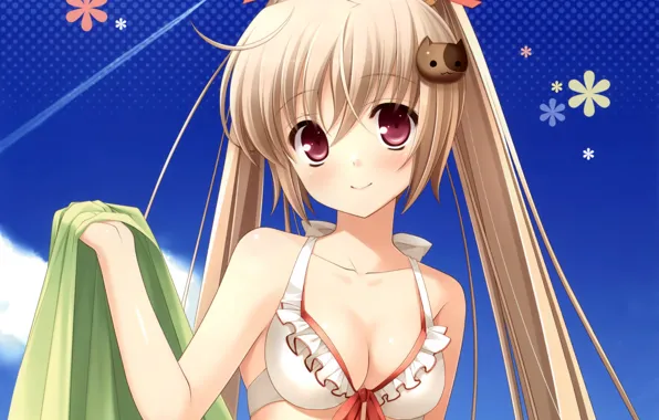 Girl, sexy, cleavage, long hair, brown eyes, boobs, anime, beautiful