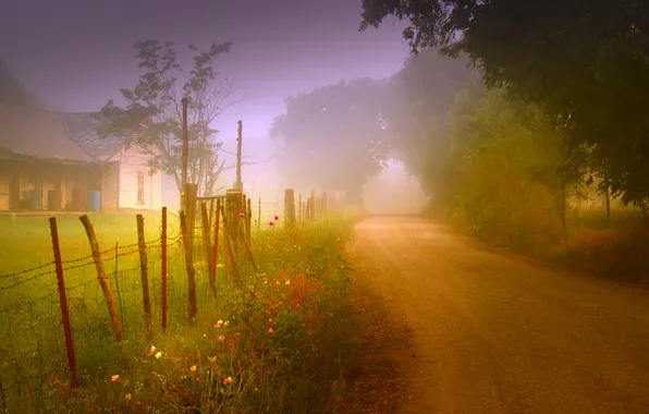 Картинка дорога, природа, туман, дом, забор, утро