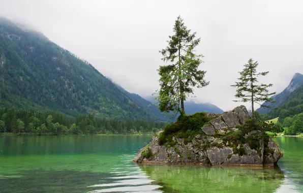 Лес, горы, озеро, остров, Бавария, Берхтесгаден