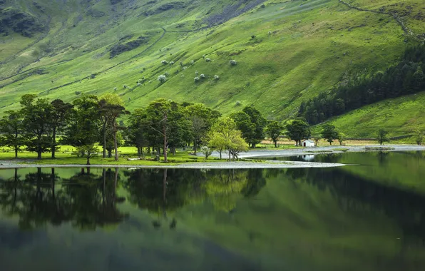 Картинка National Park, Lake District, озерный край, Buttermere Valley